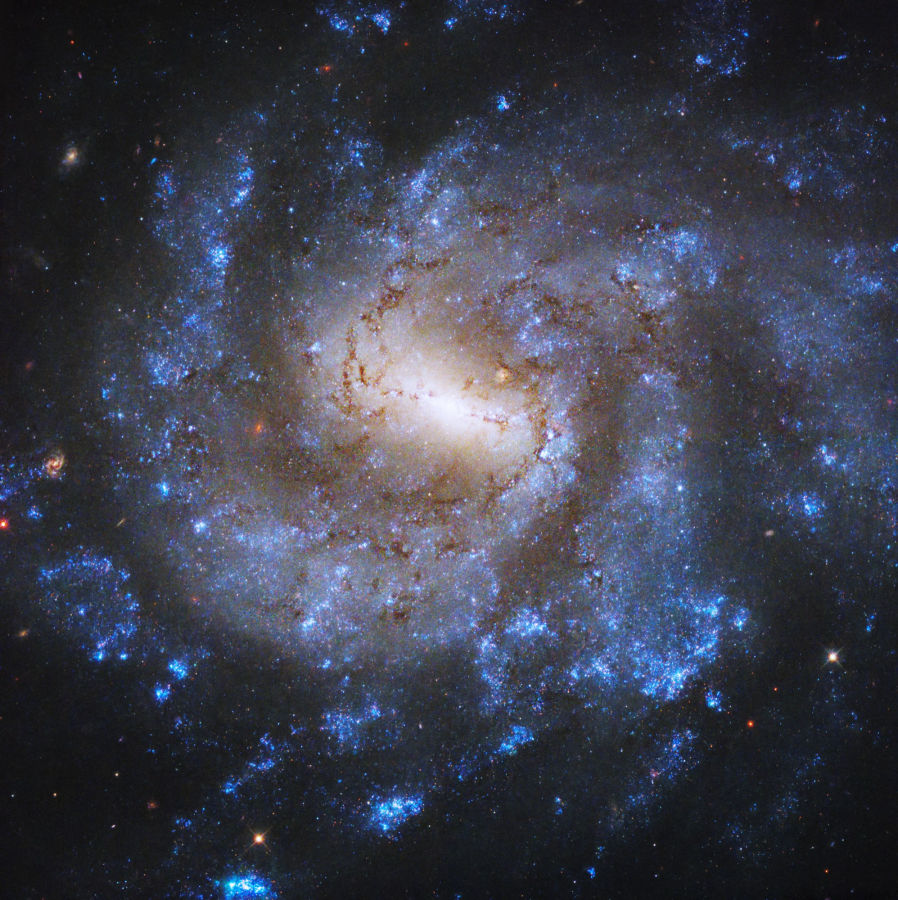         NGC 685