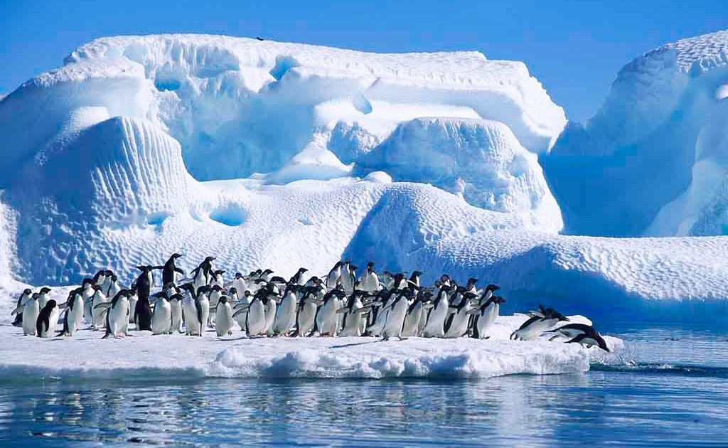 Антарктида "нуждается в защите": РФ готовит противостояние с Великобританией