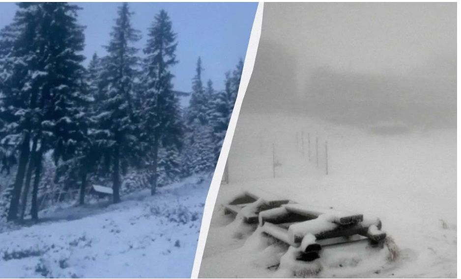 В Украине уже выпал первый снег: в Сети опубликовали кадры из Карпат
