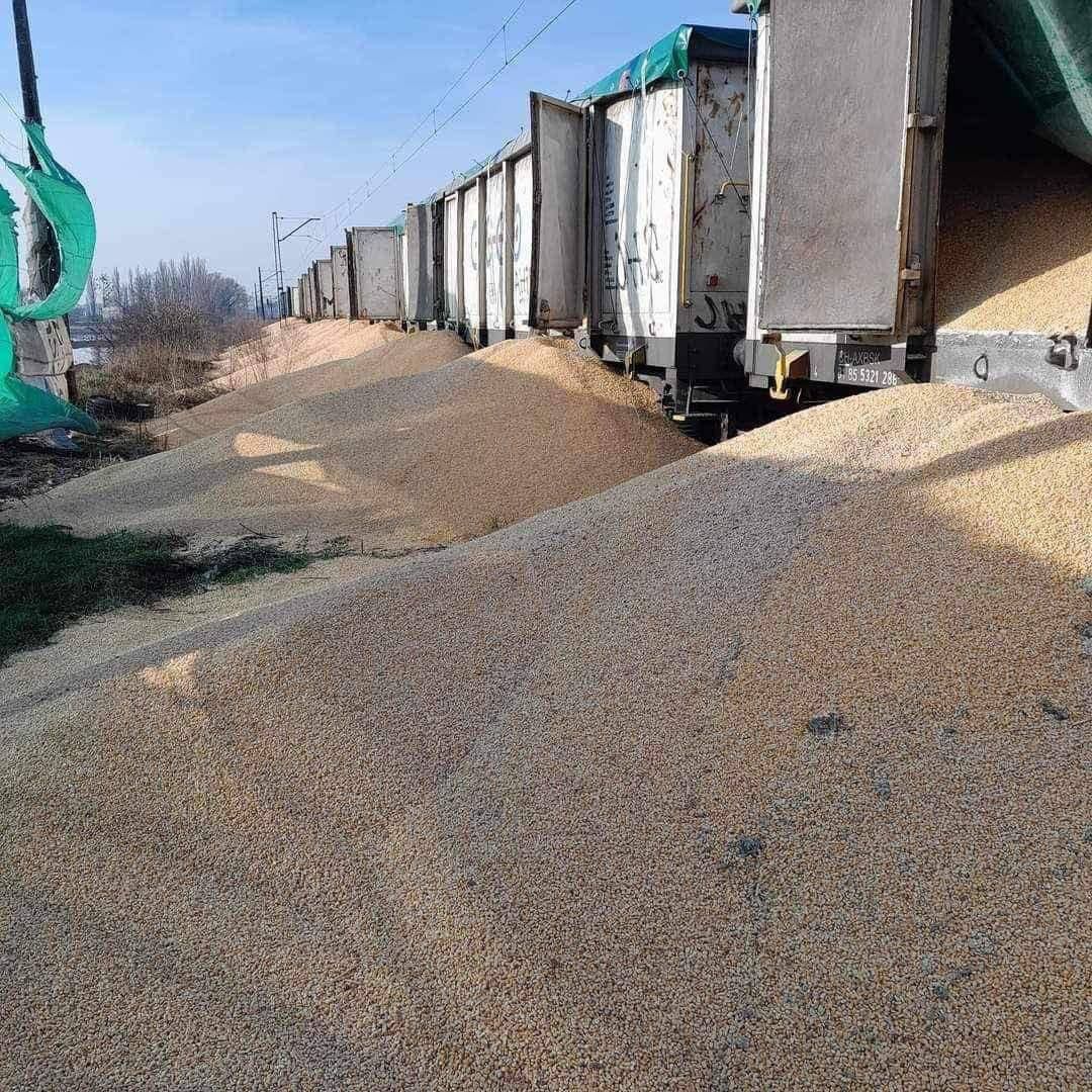 В Польше устроили самую крупную диверсию против зерновых из Украины