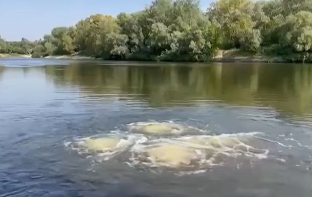 Вода в Десне у Чернигова стала темной, рыба массово вымирает – мэрия выступила с заявлением