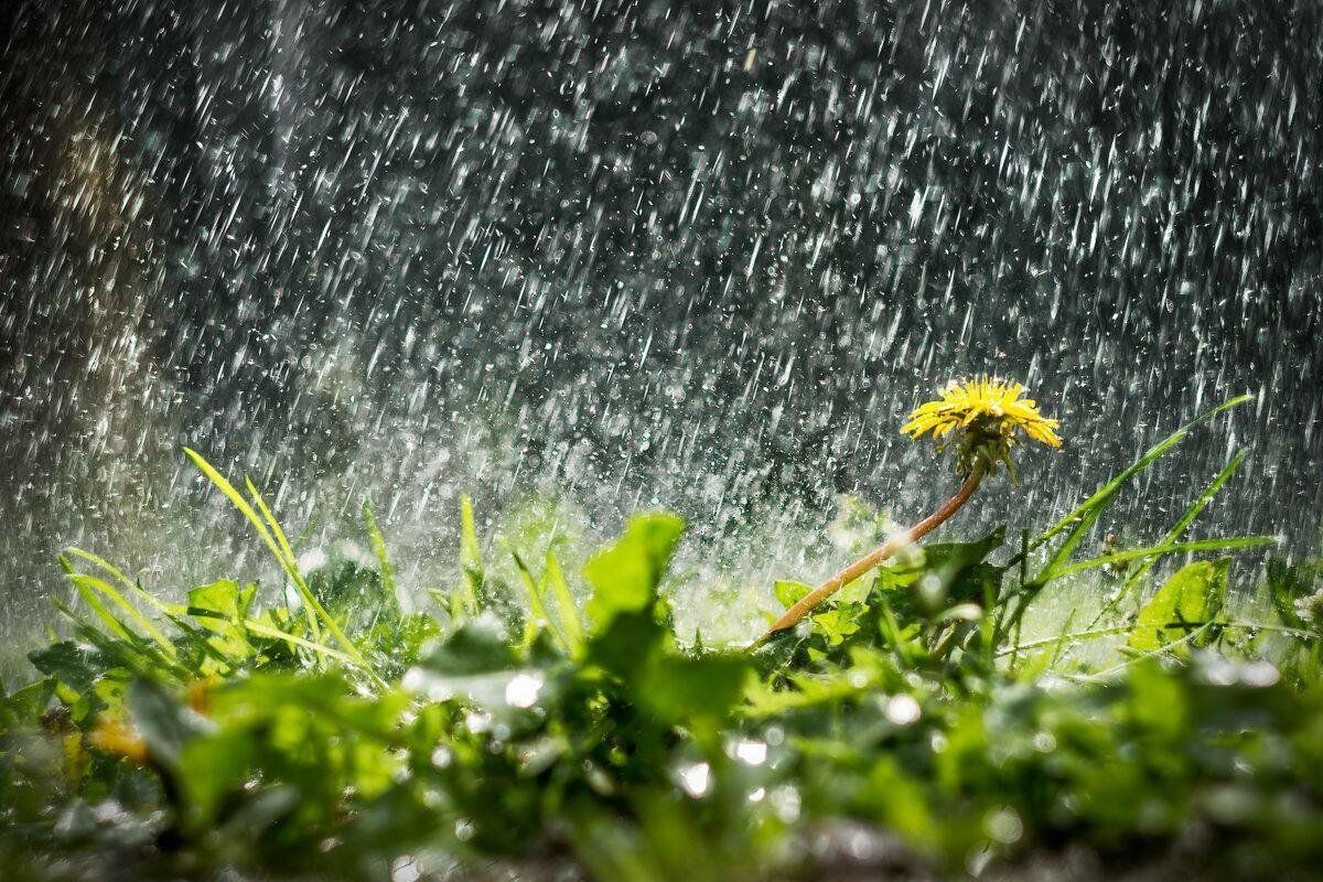 Украину завтра будут заливать дожди с грозами: непогода обойдет стороной только несколько областей 