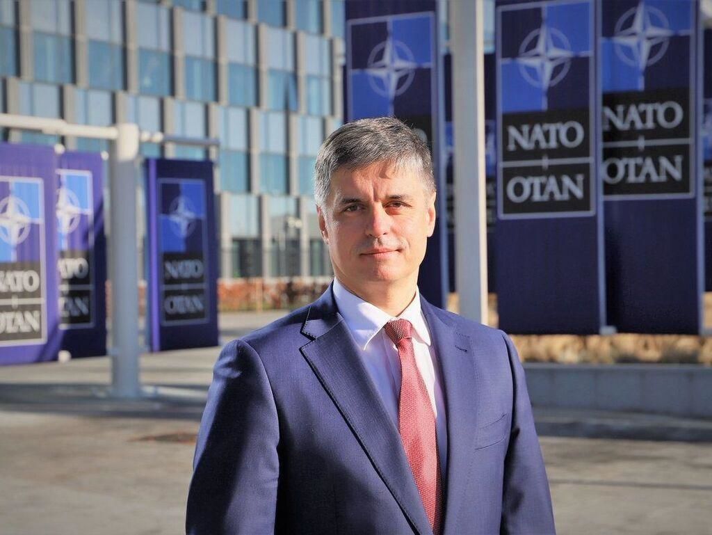 Пристайко озвучив плани України щодо НАТО, а у Зеленського зажадали дати пояснення