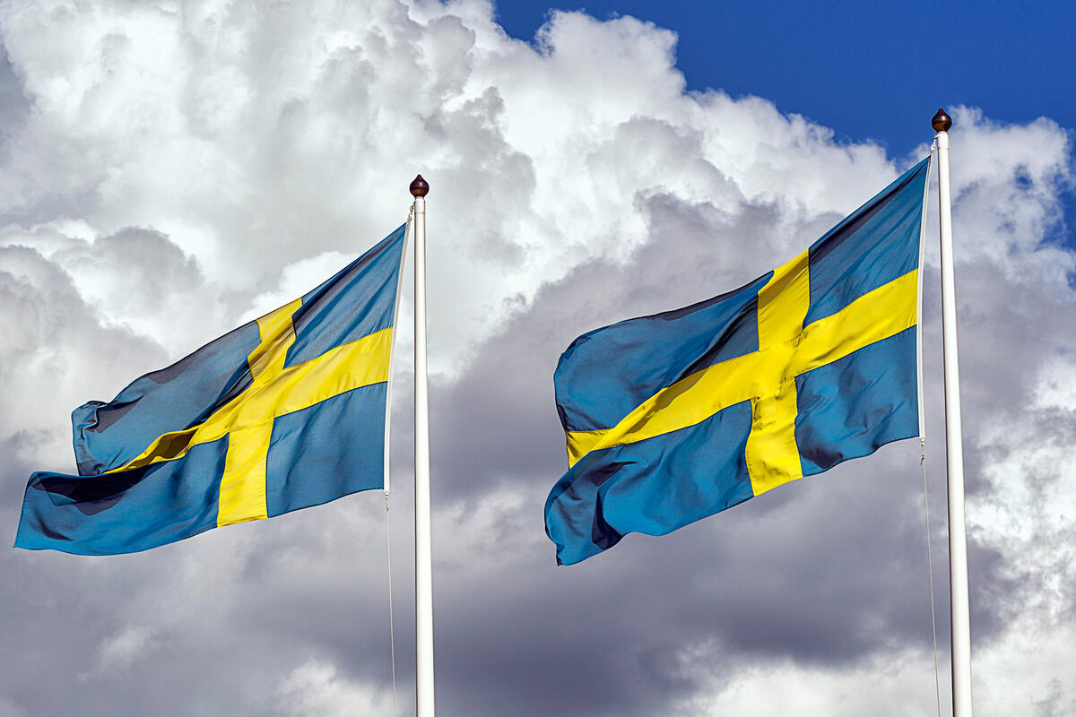В Минобороны Швеции ответили, может ли Украина бить шведским оружием по РФ