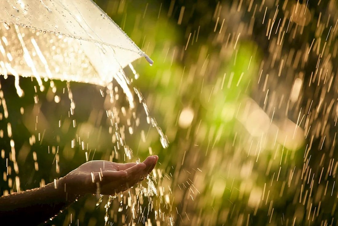 ​В Украину идет "сезон дождей": синоптик рассказала, когда погода изменится