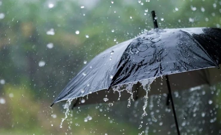 Завтра в Украине почти везде дожди: синоптики сказали, где будет сухо 