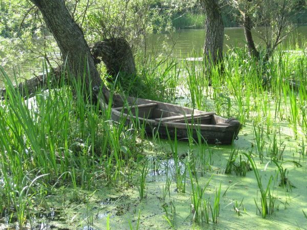 У Вовчанську російські загарбники форсували річку Вовча та намагаються закріпитися – ISW